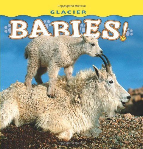 Glacier Babies