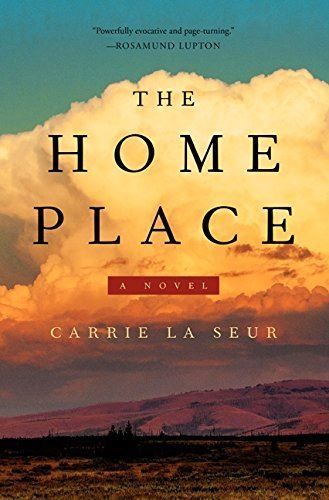 The Home Place- A Novel