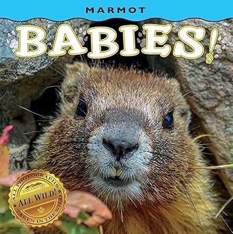 Marmot Babies