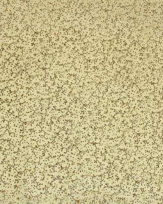 Silk Scarf - Calico Vine