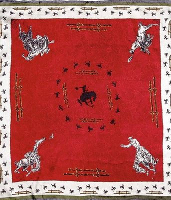 Limited Edition Fence Silk Scarf