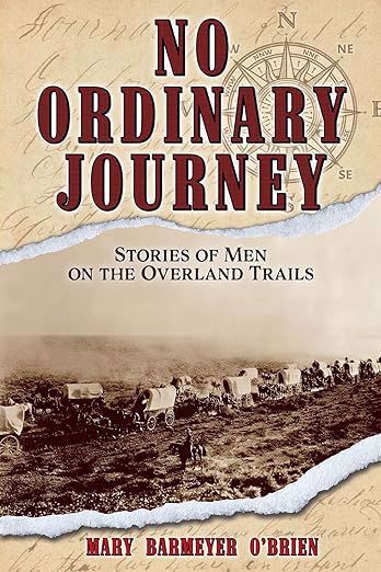 No Ordinary Journey