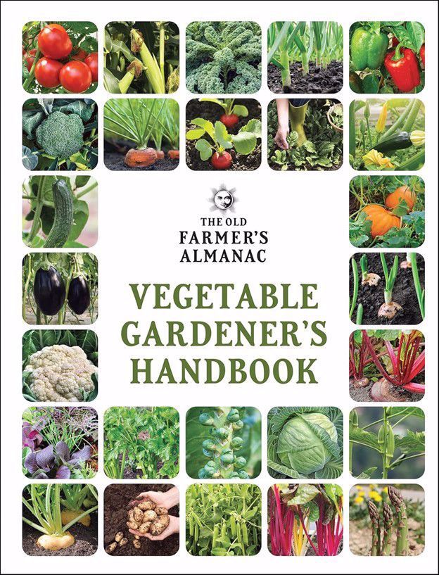 The Old Farmer's Almanac - Vegetable