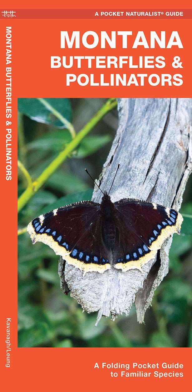 Montana Butterflies &amp; Pollinators- A Pocket Guide