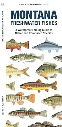 Montana Freshwater Fishes- A Folding Pocket Guide