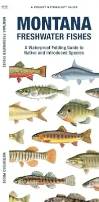 Montana Freshwater Fishes- A Folding Pocket Guide