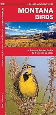 Montana Birds: A Folding Pocket Guide to Familiar Species