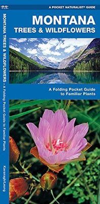 Montana Trees and Wildflowers: A Folding Pocket Guide to Familiar Species