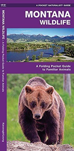 Pocket Guide - Montana Wildlife