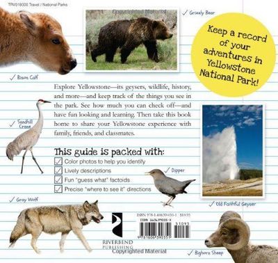 What I Saw in Yellowstone: A Kid's Guide to Wonderland