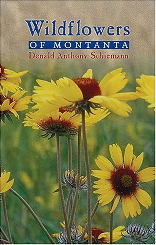 Wildflowers of Montana