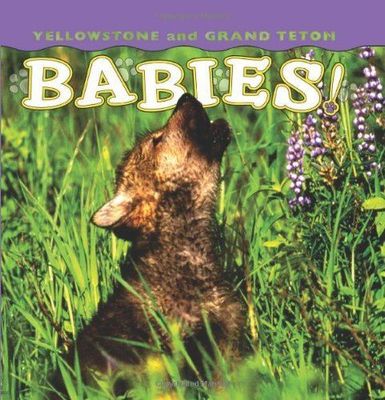Yellowstone and Grand Teton Babies!