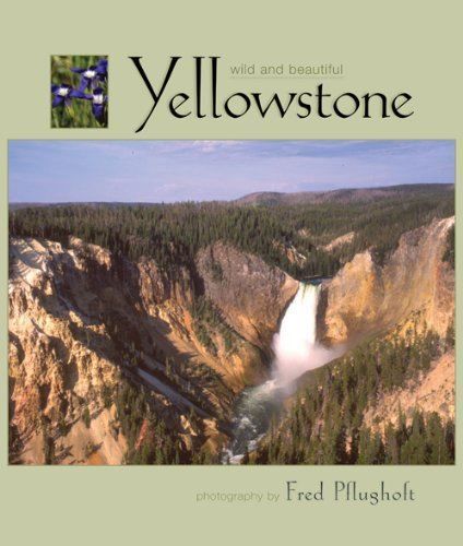 Yellowstone Wild and Beautiful