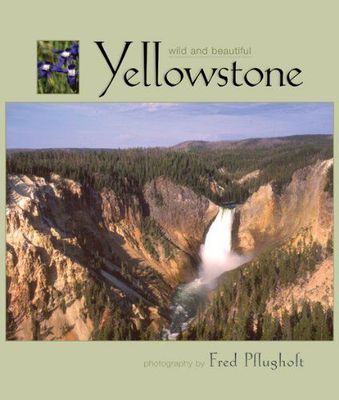 Yellowstone Wild and Beautiful