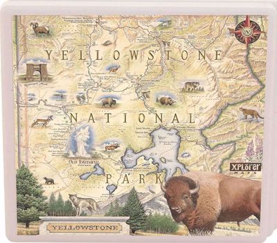 Coaster - Yellowstone Xplorer Map
