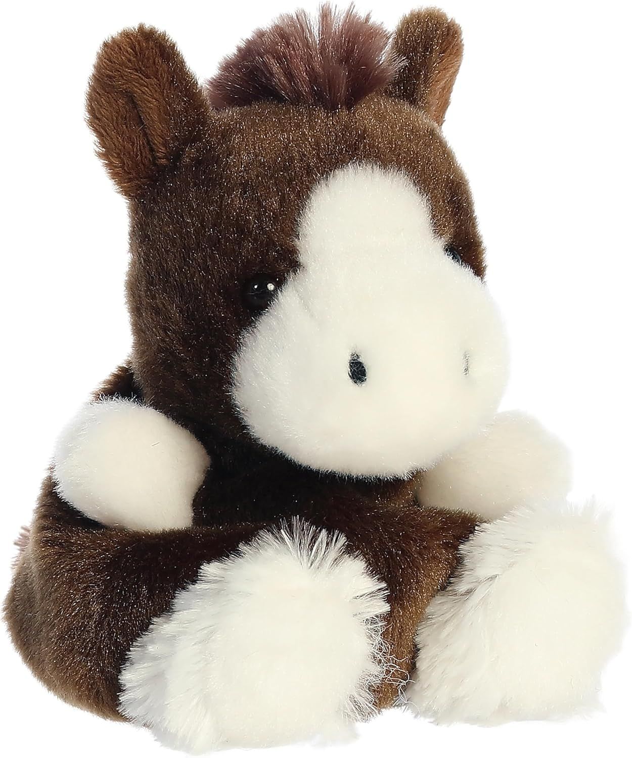 Palm Pal- Daruis Clydesdale
