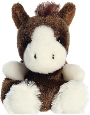 Palm Pal- Daruis Clydesdale