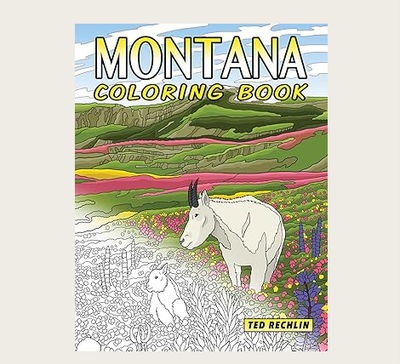 Coloring &amp; Activity