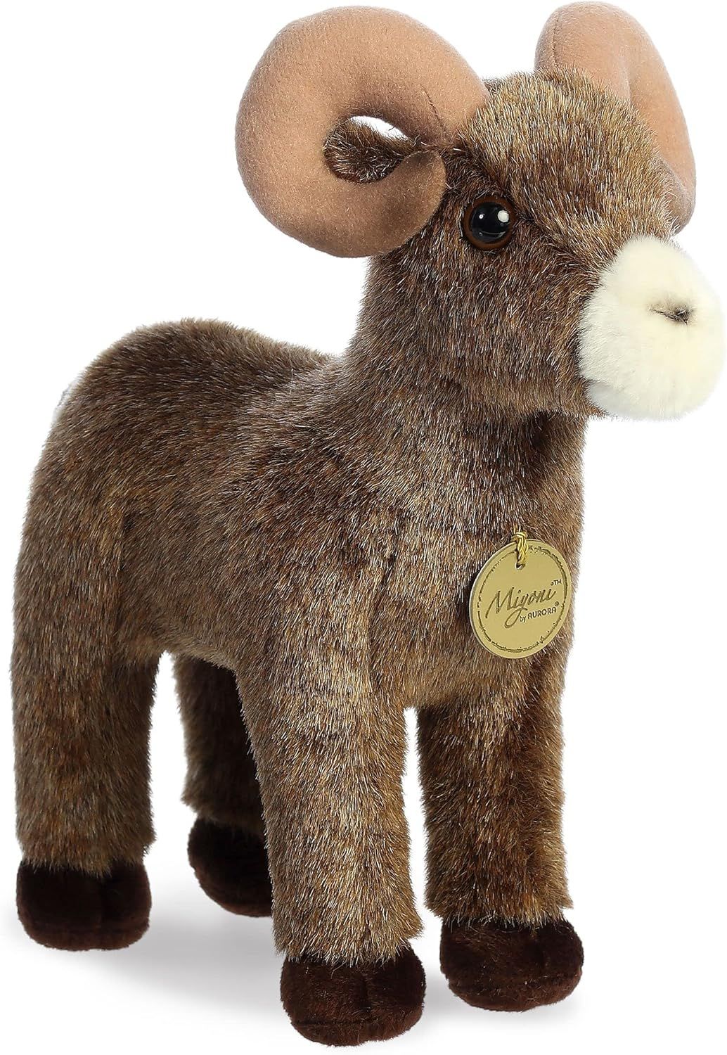 Miyoni- Bighorn Sheep