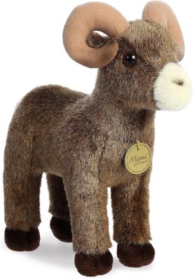 Miyoni- Bighorn Sheep