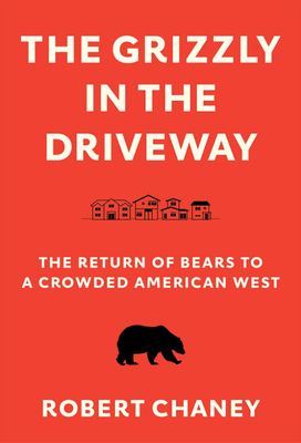 Grizzly in the Driveway