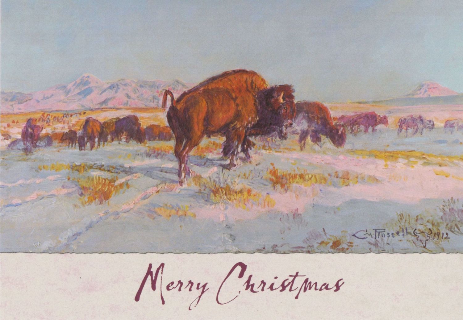 Christmas Cards - Buffalo in Winter