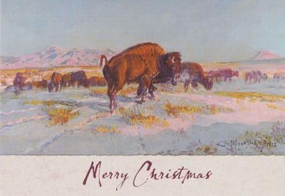 Christmas Cards - Buffalo in Winter