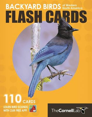 Flashcards - Backyard Birds