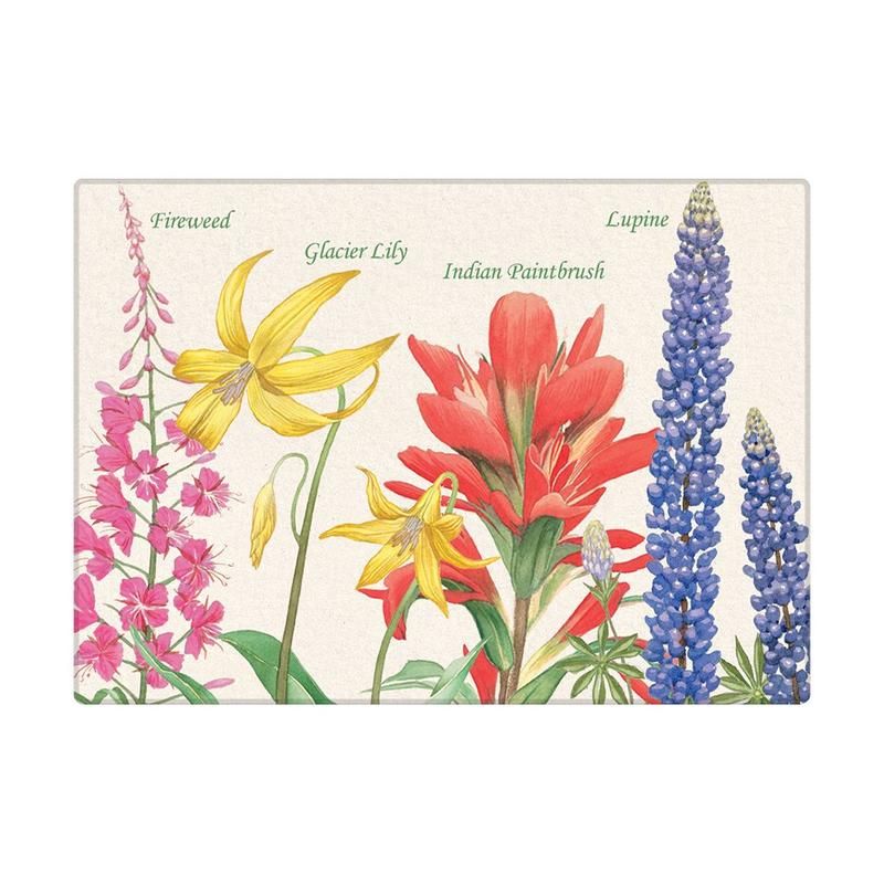 Magnet - Wildflowers Xplorer