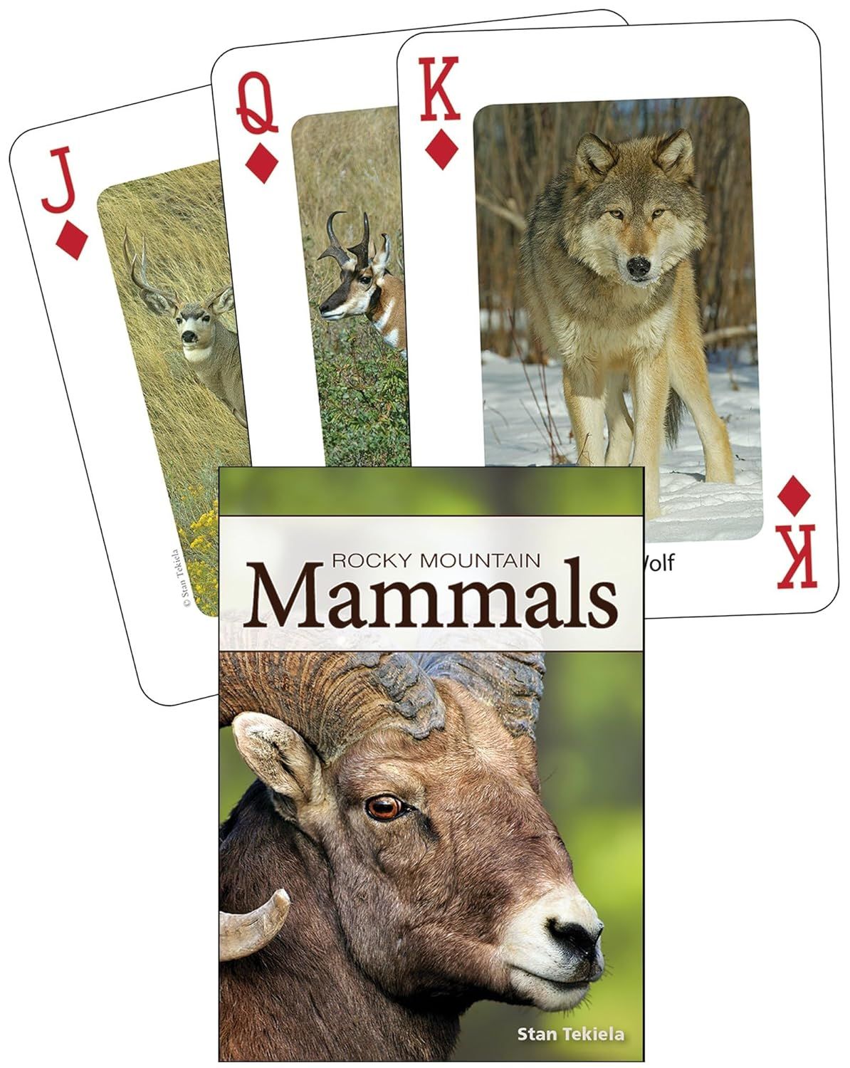 Playing Cards - Rocky Mountain Mammals