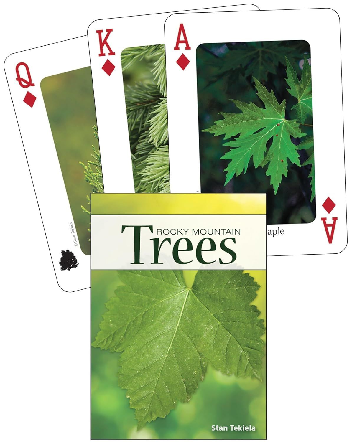 Playing Cards - Rocky Mountain Trees