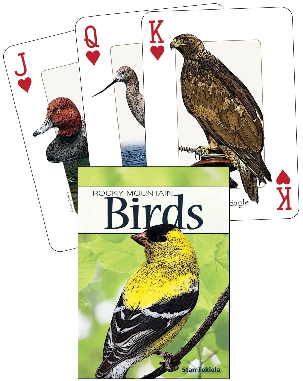 Playing Cards - Rocky Mountain Birds