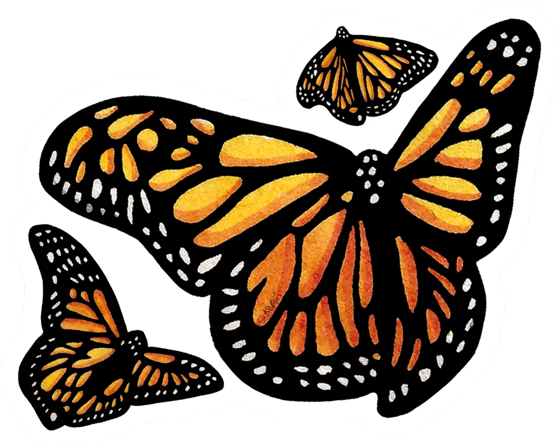 Sticker - Monarch Butterflies