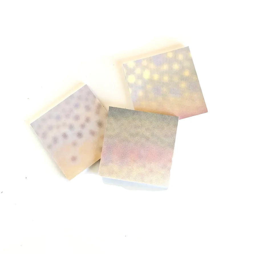Trout Sticky Notes