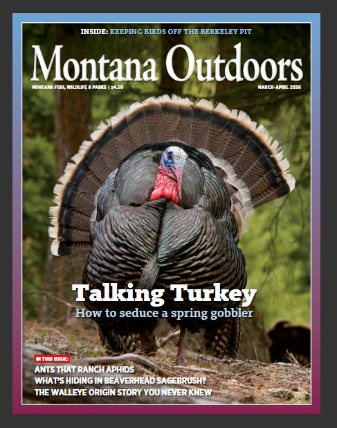 MT Outdoors March-April 2026