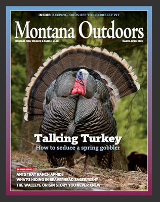 MT Outdoors March-April 2026