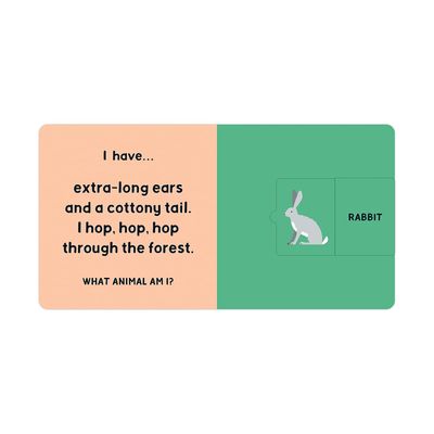 Forest Tracks: What Animal Am I? Lift-The-Flap Board Book