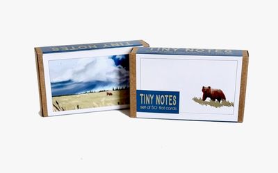 Grizzly Storm Tiny Notes