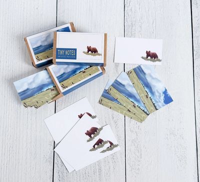 Grizzly Storm Tiny Notes