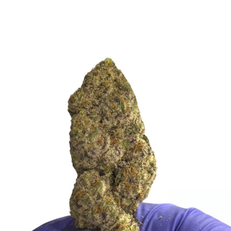 Pineapple Punch THCa (Sativa) 41.95% TAC
