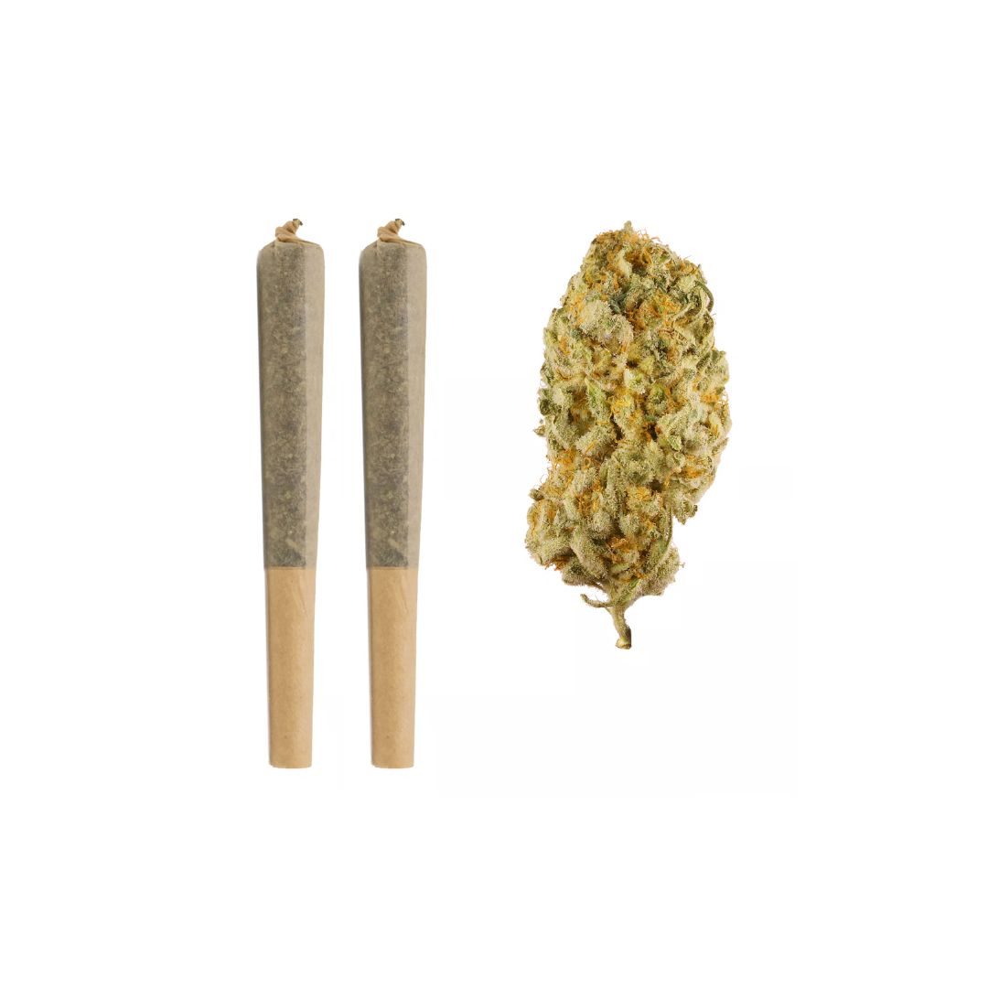 TruCannaBliss THCA Prerolls (2.0g), Variation: Jack Herer (Sativa)