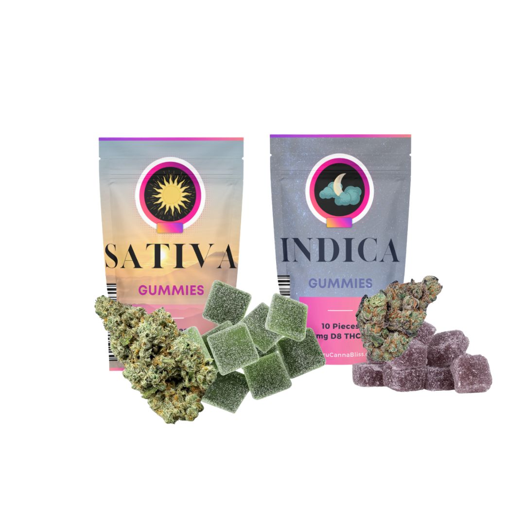 Day &amp; Night Bliss Bundle