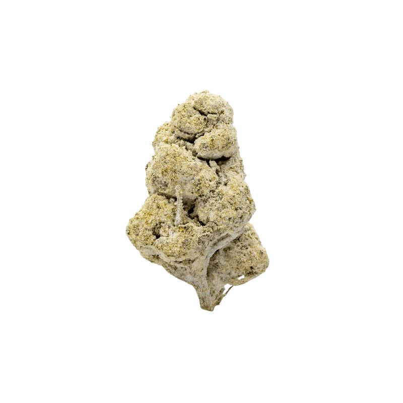 Miracle Alien Cookies &quot;MAC&quot; Snowcaps (Hybrid)