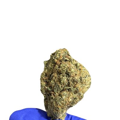 Gush Mintz THCa (Indica) 27.74% TAC