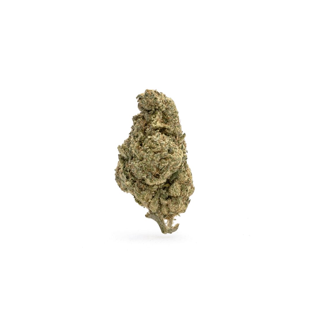 OG Kush THCa (Sativa/Hybrid) 30.45% TAC
