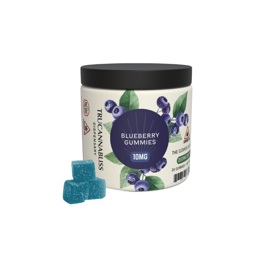 The Elevate Collection Delta 9 THC Blueberry Gummies, Size: 20 Count