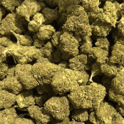 Willie Nelson THCa (Sativa) 39/24% TAC