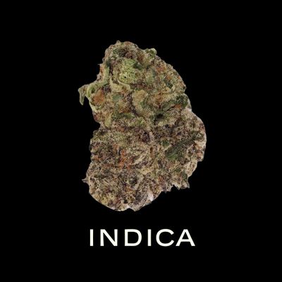 Indica