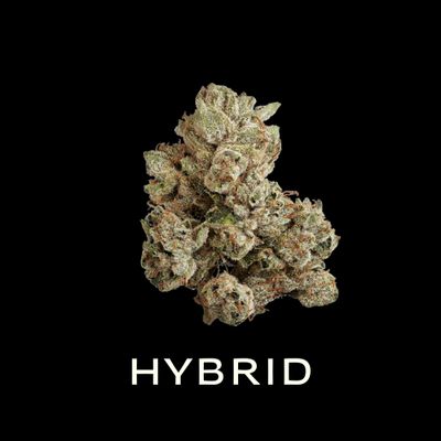 Hybrid