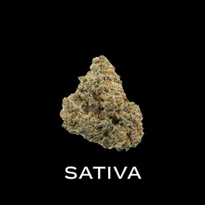 Sativa